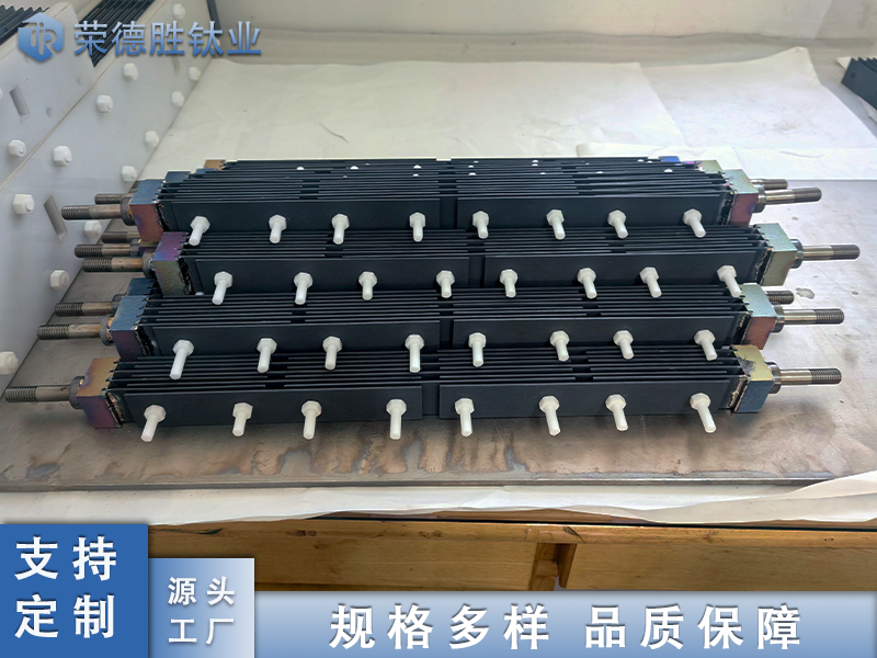 50g次氯酸鈉發(fā)生器電極組